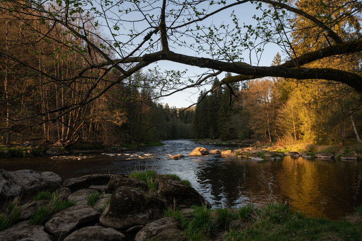 Der Bayerische Wald lädt dich mit seiner herrlichen Natur zum Wandern und Entspannen ein